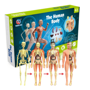Human Body Kit