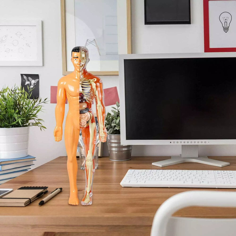 Human Body Kit - Image 4