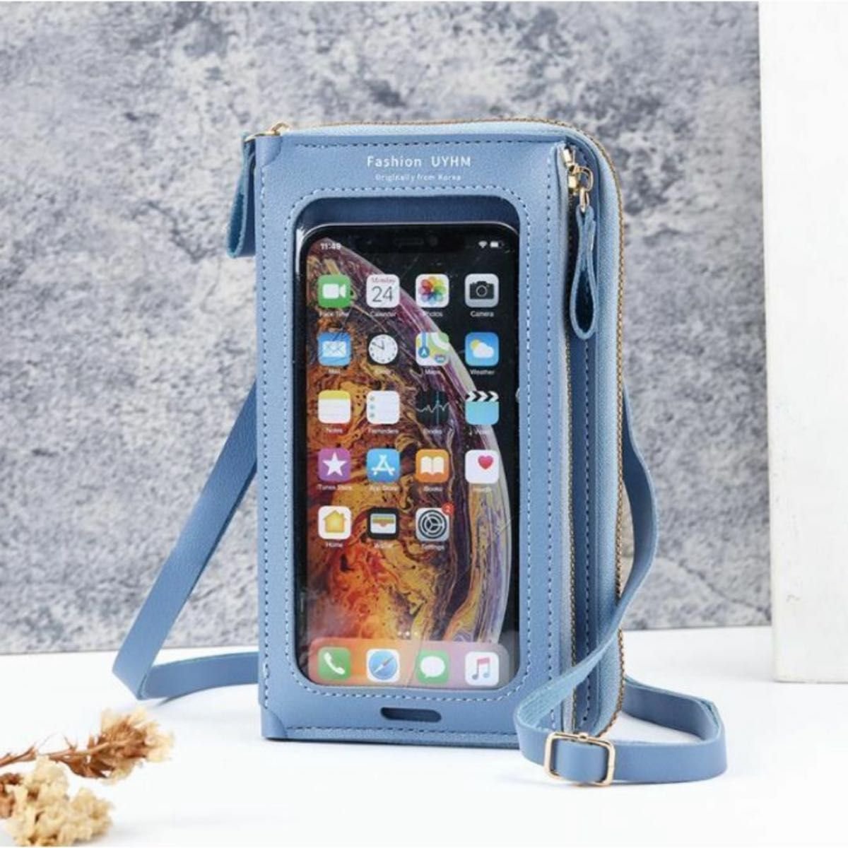 Blue Color purse 02